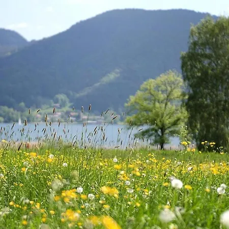 Διαμέρισμα In With Garden Furniture Bad Wiessee